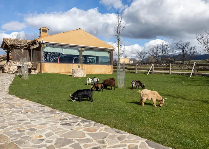 Estudios - Granja El Enebral Rosuero