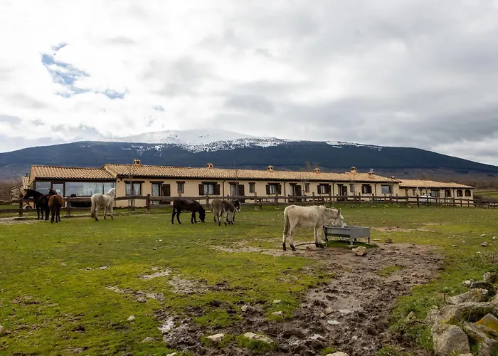 Estudios - Granja El Enebral